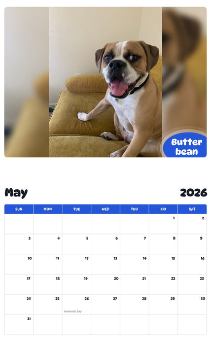 2026 - 2027 Butter bean - Pawidols Pet Calendar