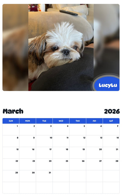 November 2025 - October 2026 LucyLu - Pawidols Pet Calendar