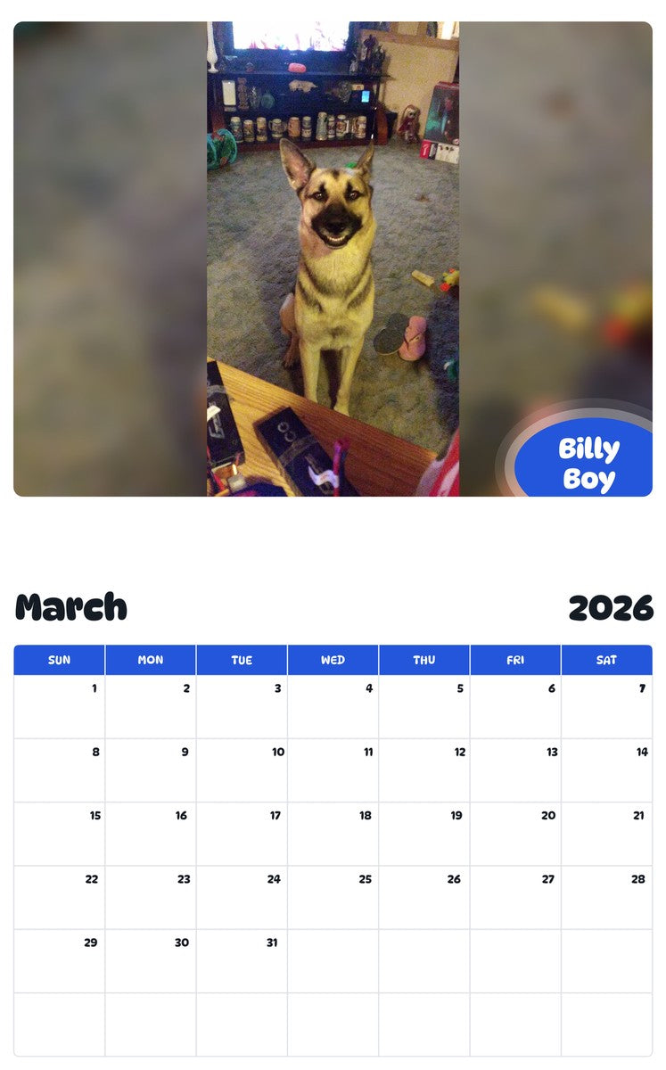 November 2025 - October 2026 Billy Boy - Pawidols Pet Calendar