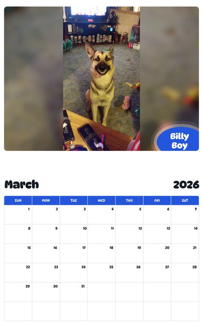 November 2025 - October 2026 Billy Boy - Pawidols Pet Calendar