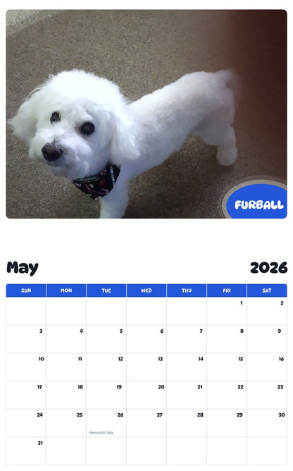 2026 - 2027 FURBALL - Pawidols Pet Calendar
