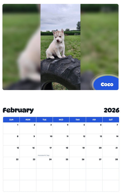 October 2025 - September 2026 Coco - Pawidols Pet Calendar