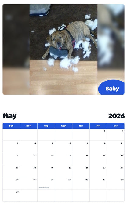 2026 - 2027 Baby - Pawidols Pet Calendar