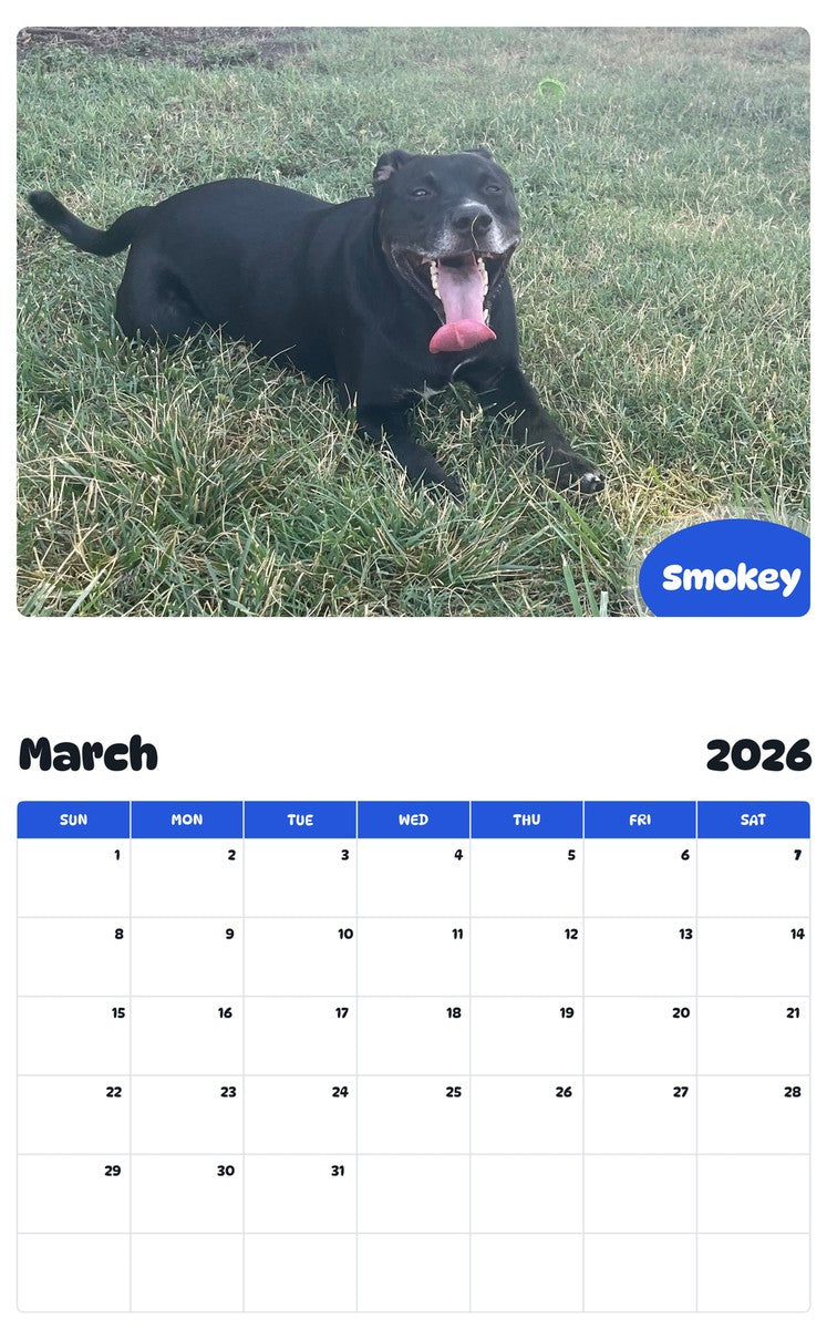 November 2025 - October 2026 Smokey - Pawidols Pet Calendar