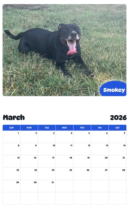 November 2025 - October 2026 Smokey - Pawidols Pet Calendar