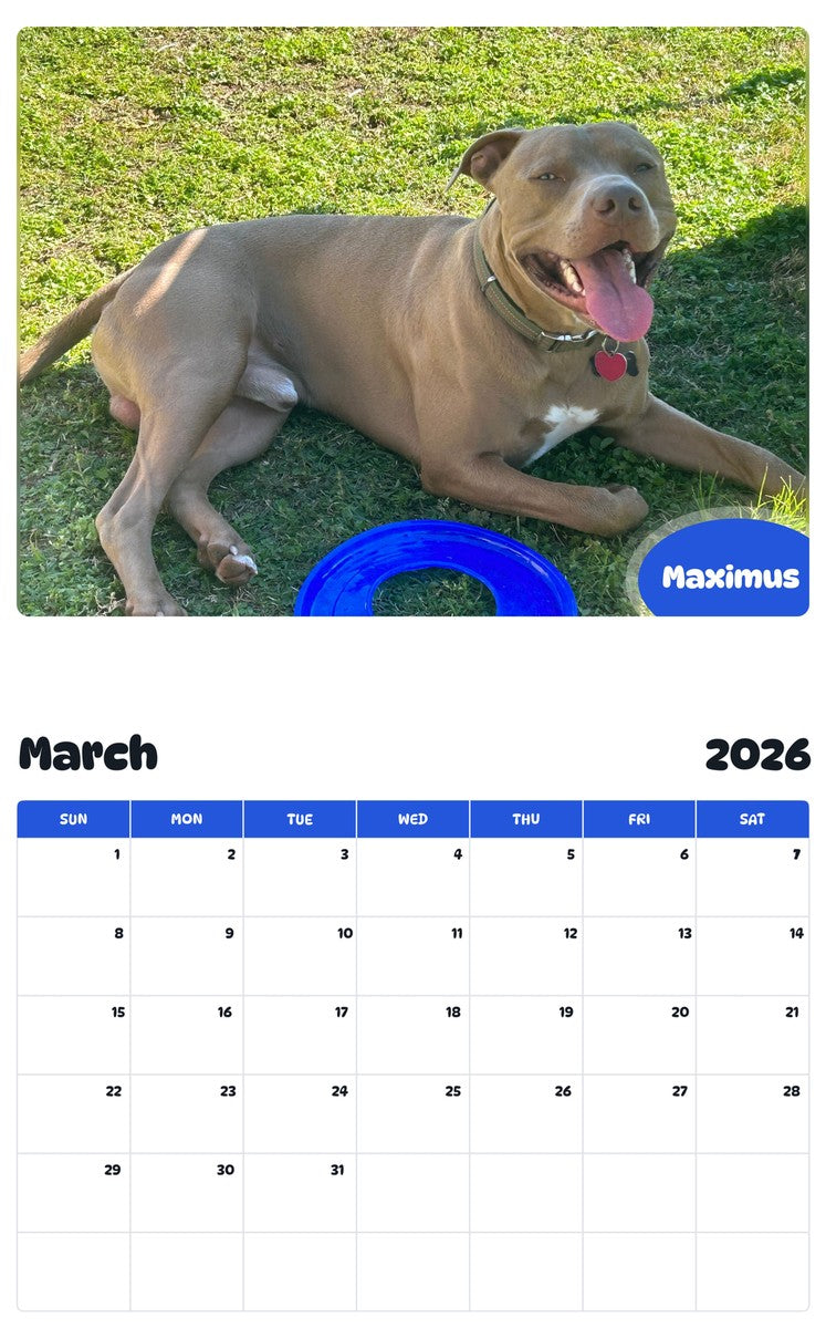 November 2025 - October 2026 Maximus - Pawidols Pet Calendar