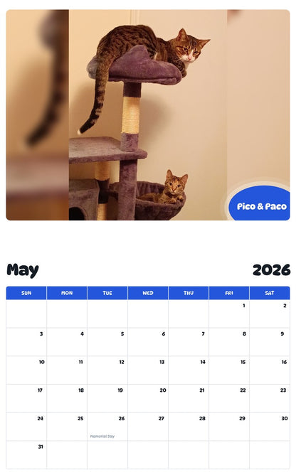 2026 - 2027 Pico & Paco - Pawidols Pet Calendar