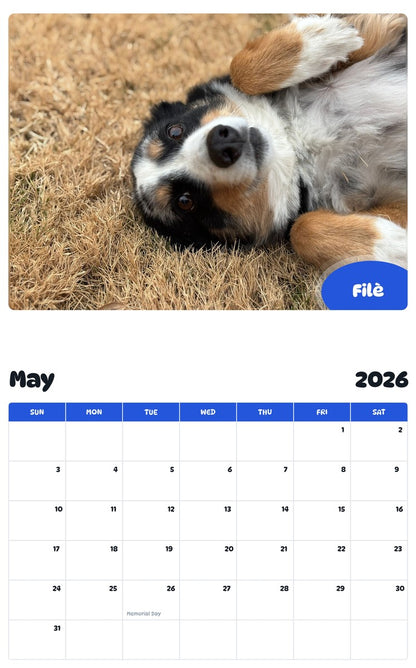 2026 - 2027 Filè - Pawidols Pet Calendar