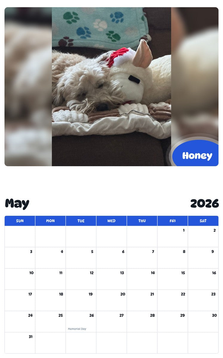 2026 - 2027 Honey - Pawidols Pet Calendar
