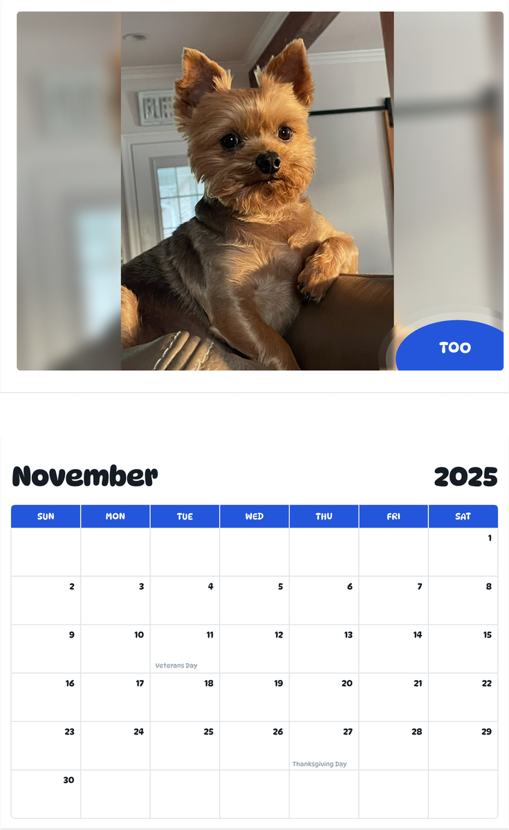 July 2025 - June 2026 Too - Pawidols Pet Calendar