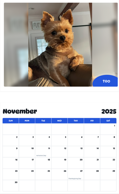 July 2025 - June 2026 Too - Pawidols Pet Calendar