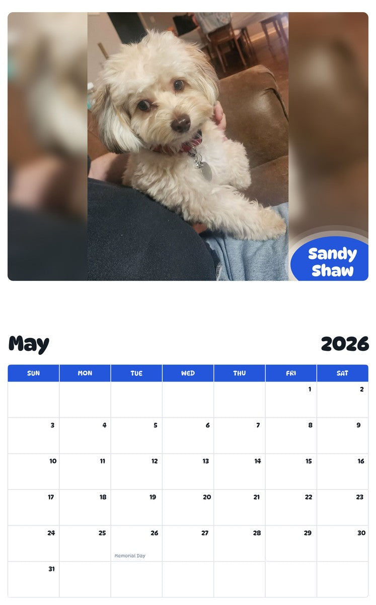 2026 - 2027 Sandy Shaw - Pawidols Pet Calendar