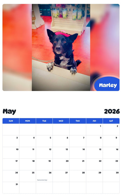 2026 - 2027 Marley - Pawidols Pet Calendar