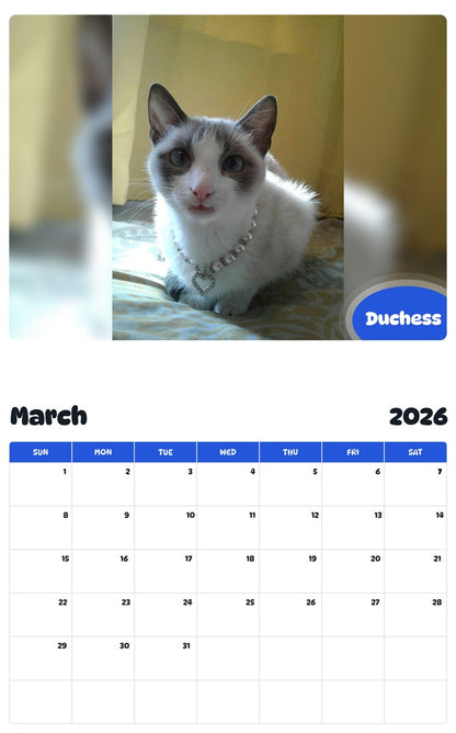November 2025 - October 2026 Duchess - Pawidols Pet Calendar
