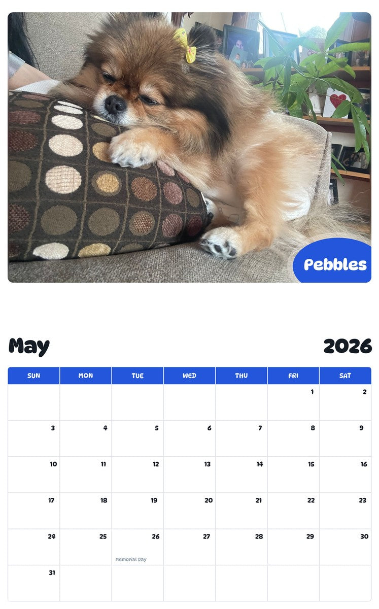 2026 - 2027 Pebbles - Pawidols Pet Calendar