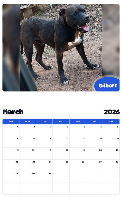 November 2025 - October 2026 Gilbert - Pawidols Pet Calendar