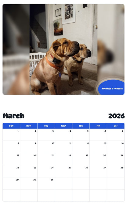 November 2025 - October 2026 Wrinkles & Princess - Pawidols Pet Calendar