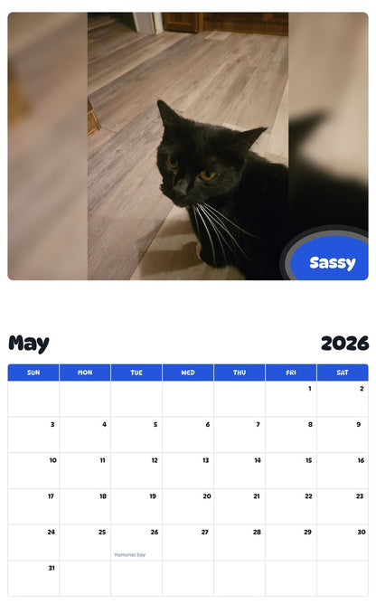 2026 - 2027 Sassy - Pawidols Pet Calendar