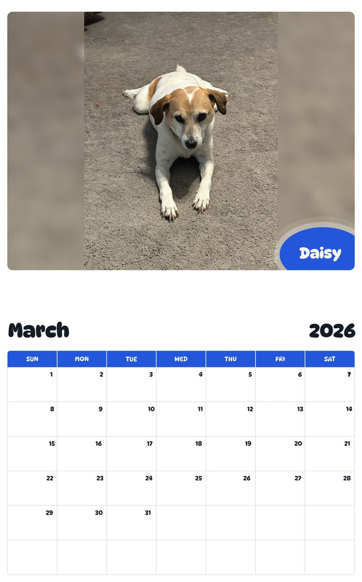 November 2025 - October 2026 Daisy - Pawidols Pet Calendar