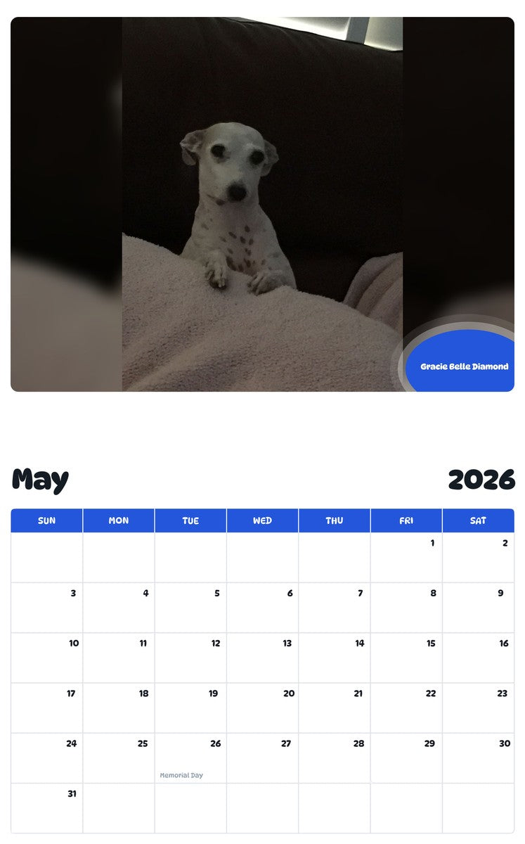 2026 - 2027 Gracie Belle Diamond - Pawidols Pet Calendar