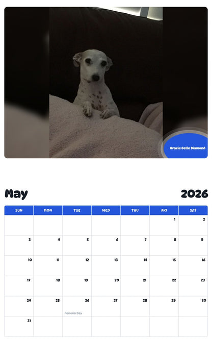2026 - 2027 Gracie Belle Diamond - Pawidols Pet Calendar