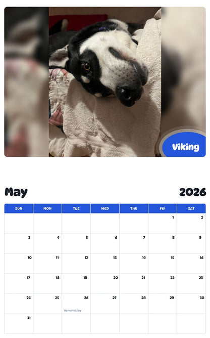 2026 - 2027 Viking - Pawidols Pet Calendar