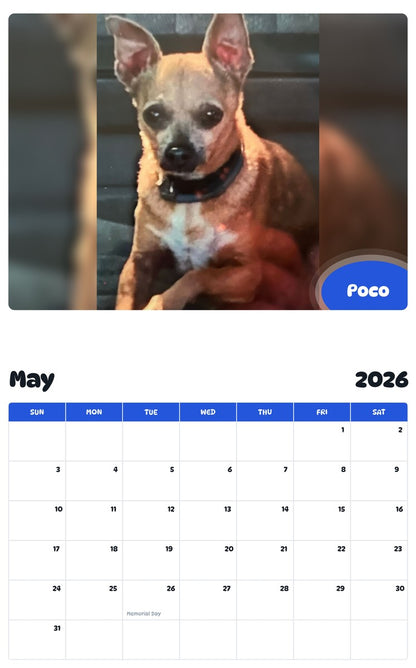 2026 - 2027 Poco - Pawidols Pet Calendar