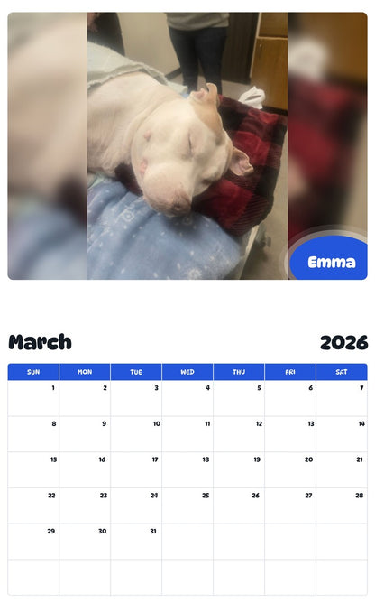 November 2025 - October 2026 Emma - Pawidols Pet Calendar