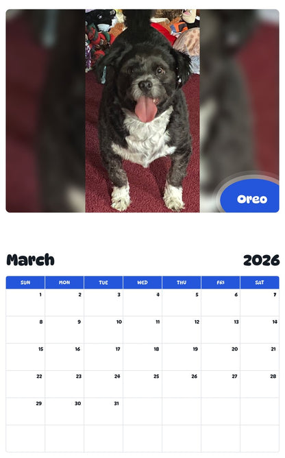 November 2025 - October 2026 Oreo - Pawidols Pet Calendar