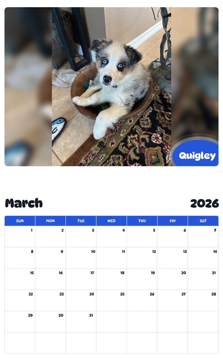 November 2025 - October 2026 Quigley - Pawidols Pet Calendar