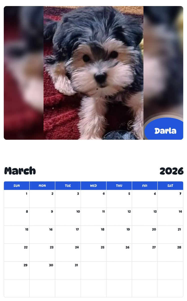 November 2025 - October 2026 Darla - Pawidols Pet Calendar