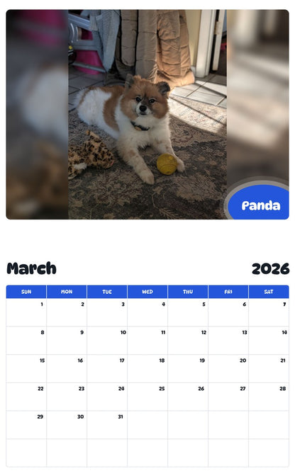November 2025 - October 2026 Panda - Pawidols Pet Calendar
