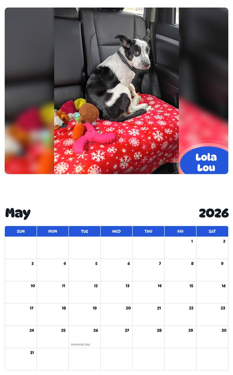 2026 - 2027 Lola Lou - Pawidols Pet Calendar