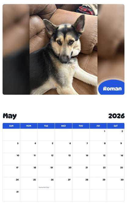 2026 - 2027 Roman - Pawidols Pet Calendar