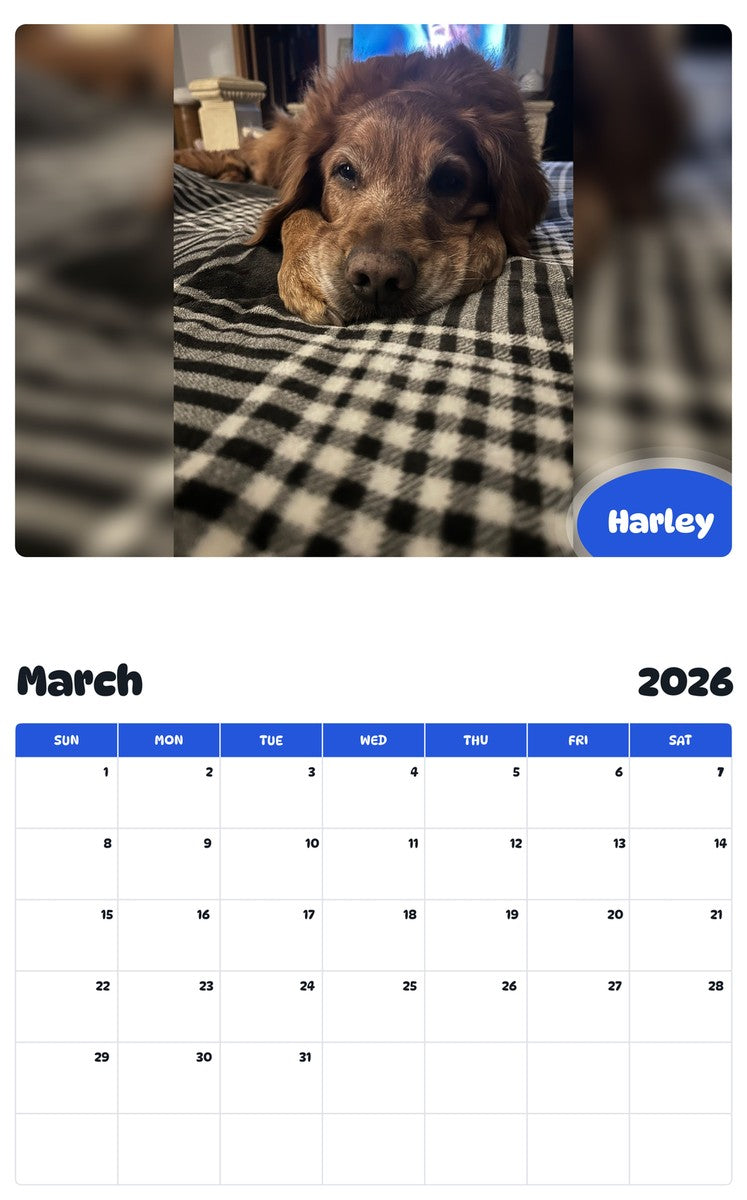 November 2025 - October 2026 Harley - Pawidols Pet Calendar