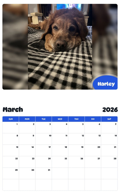 November 2025 - October 2026 Harley - Pawidols Pet Calendar