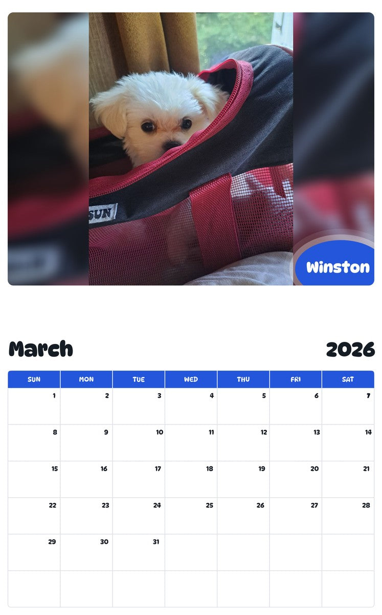November 2025 - October 2026 Winston - Pawidols Pet Calendar