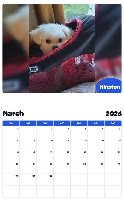 November 2025 - October 2026 Winston - Pawidols Pet Calendar