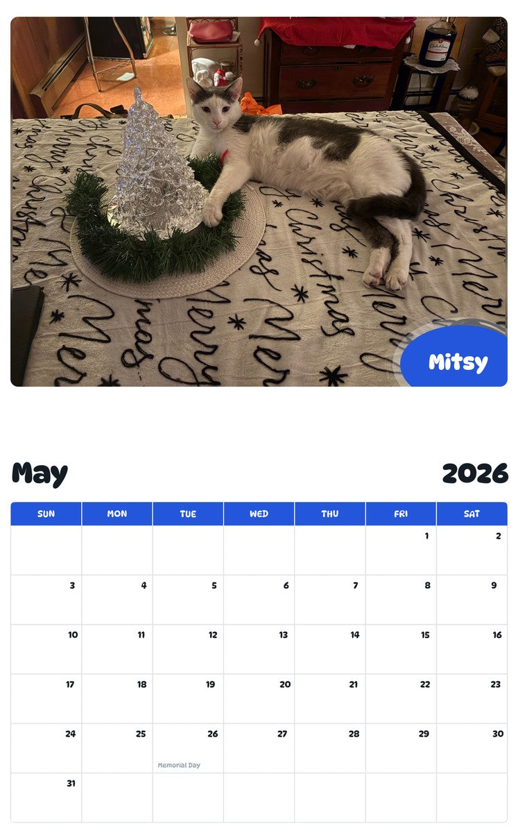 2026 - 2027 Mitsy - Pawidols Pet Calendar