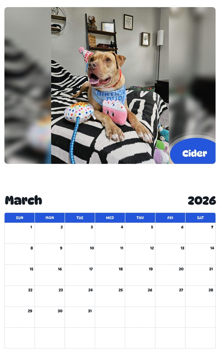 November 2025 - October 2026 Cider - Pawidols Pet Calendar