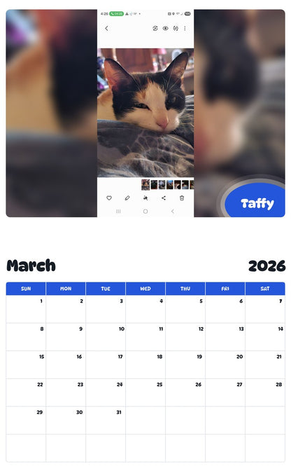 November 2025 - October 2026 Taffy - Pawidols Pet Calendar