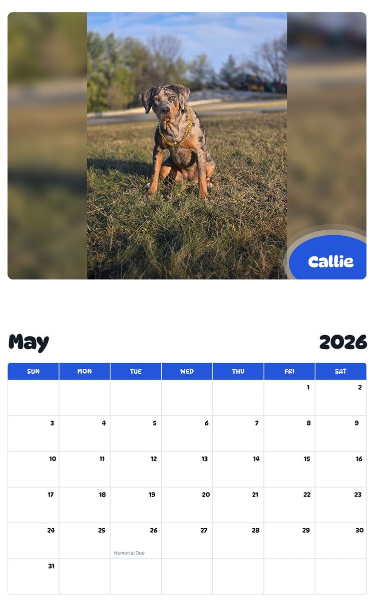 2026 - 2027 Callie - Pawidols Pet Calendar