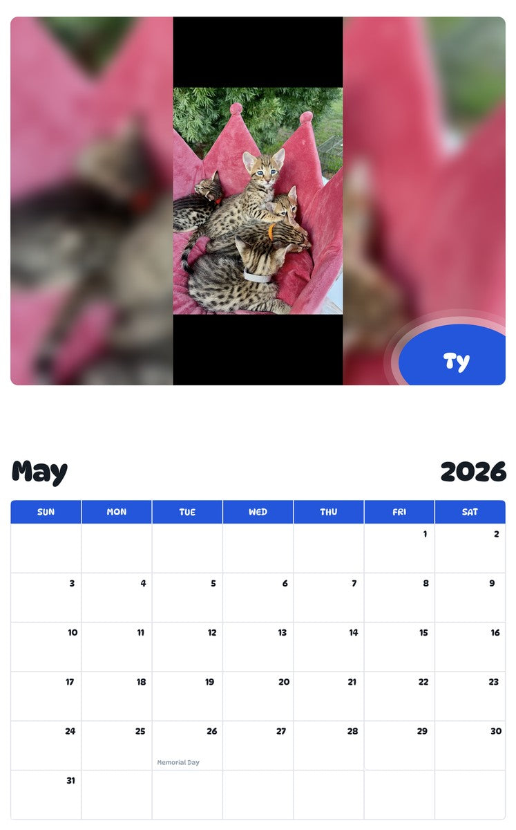 2026 - 2027 Ty - Pawidols Pet Calendar