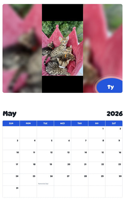 2026 - 2027 Ty - Pawidols Pet Calendar