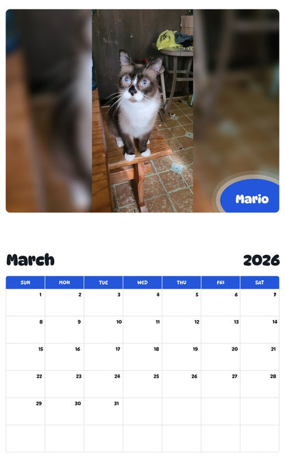 November 2025 - October 2026 Mario - Pawidols Pet Calendar