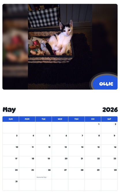 2026 - 2027 OLLIE - Pawidols Pet Calendar