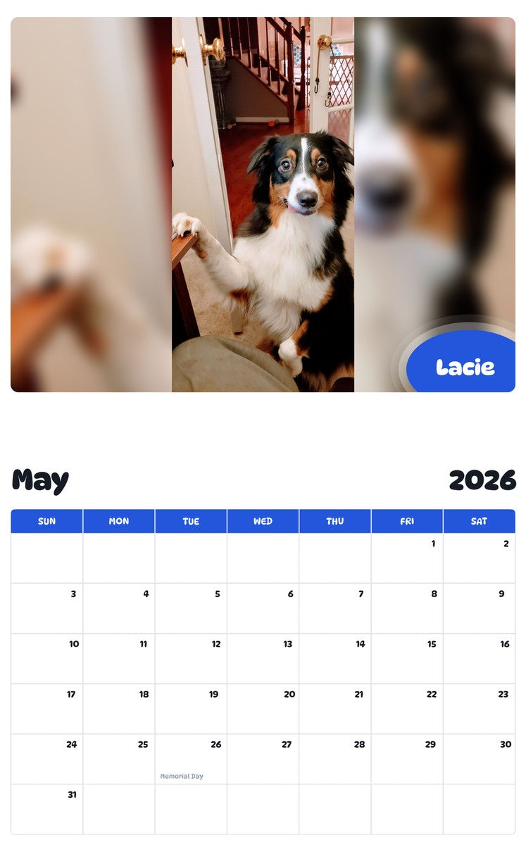 2026 - 2027 Lacie - Pawidols Pet Calendar