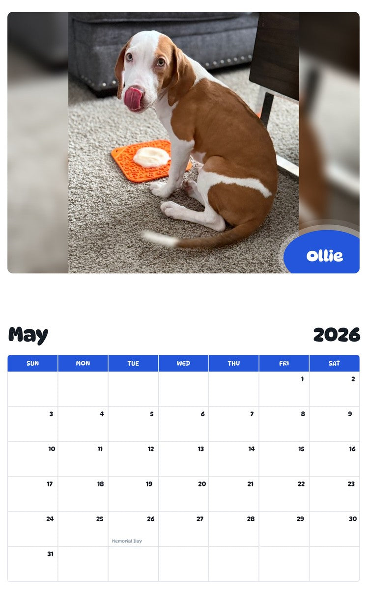 2026 - 2027 Ollie - Pawidols Pet Calendar