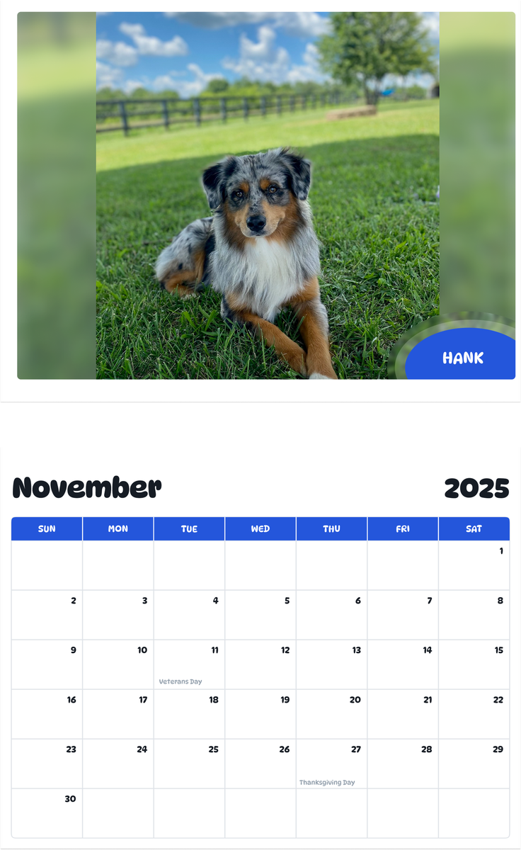 July 2025 - June 2026 Hank - Pawidols Pet Calendar