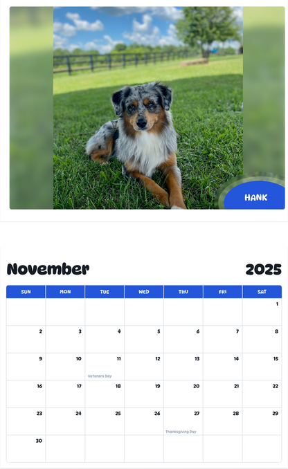 July 2025 - June 2026 Hank - Pawidols Pet Calendar